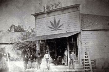 Maine cannabis history